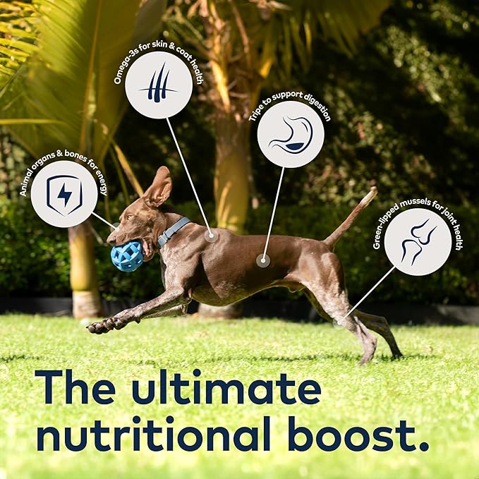 ZIWI Peak Air-Dried Dog Food, Beef | High Protein | Grain Free | Limited Ingredient | Pack of 2
