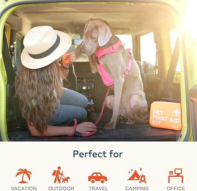 Travel Safety Bundle – First Aid Kit & Dog Seat Belt | Essential Pet Travel Accessories for Road Trips, Camping & Outdoor Adventures (Army Green)