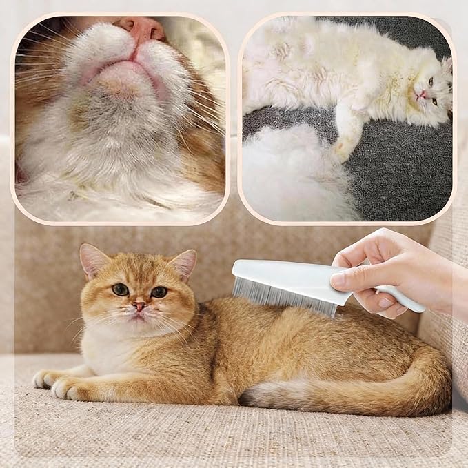2 Pack Multifunctional Pet Grooming Comb, Stainless Steel Fine Tooth Brush for Tear Stain Removal, Hair Shedding Control & Massage for Dogs and Puppies