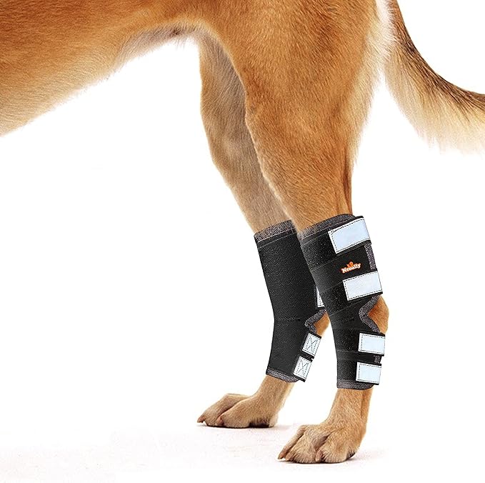 NeoAlly® - Rear Leg Hock Brace, Dog Leg Brace for Rear Leg, Hock & Ankle Support for Hind Legs, Dog Brace for Torn Acl and Ccl, Long Version, X-Small, 1 Pair