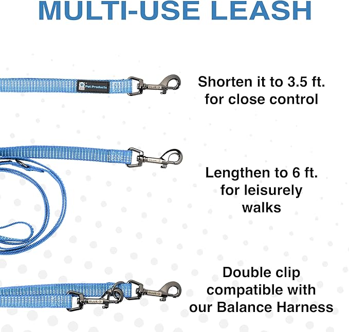 Blue-9 Reflective Multi-Function Dog Leash, Double Attachment Adjustable Lead for Obedience Training and Running, 6 Feet, Made in The USA, Small/Medium, Blue