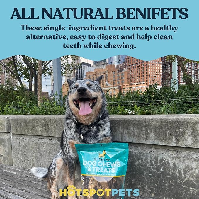 hotspot pets Bully Stick Rings for Dogs - Premium All Natural Long Twisted Beef Pizzle Dog Chew Treats - Grain Free Fully Digestible Rawhide Alternative 50 Count