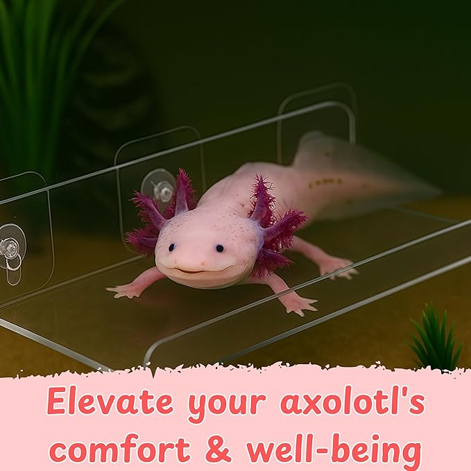 Axolotl Hammock Ledge for Aquarium Tank Accessories and Feeding Dish, Axolotl Hammock with Ceramic Tray Feeder Bowl, Axolotls Accessories for Tank, Bearded Dragon Reptiles Supplies (Pink, 12x6 in)