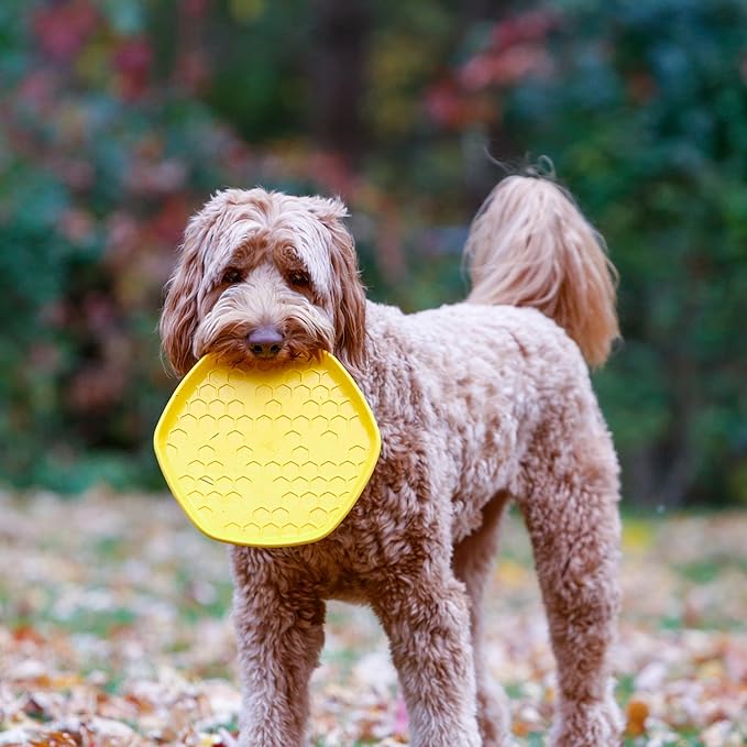 PROJECT HIVE ·PET COMPANY· - Hive Frisbee for Dogs - Dog disc - Great for Fetch - Includes a Lick mat on Back - Floats in Water, Smooth Glide - Made in The USA