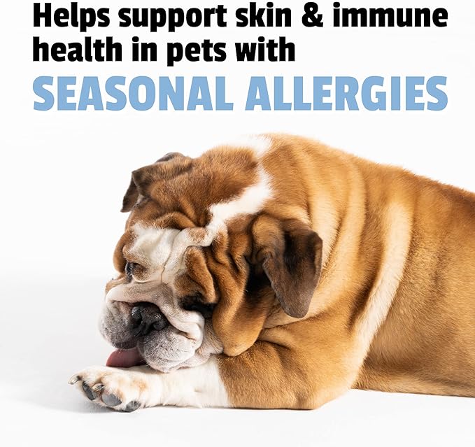 Pet Naturals Allergy Plus Calming for Dogs – 60 Ct Soft Chews, Seasonal Allergy & Stress Support with Quercetin, Salmon Oil, Probiotics & L-Theanine, Duck Flavor Supplement
