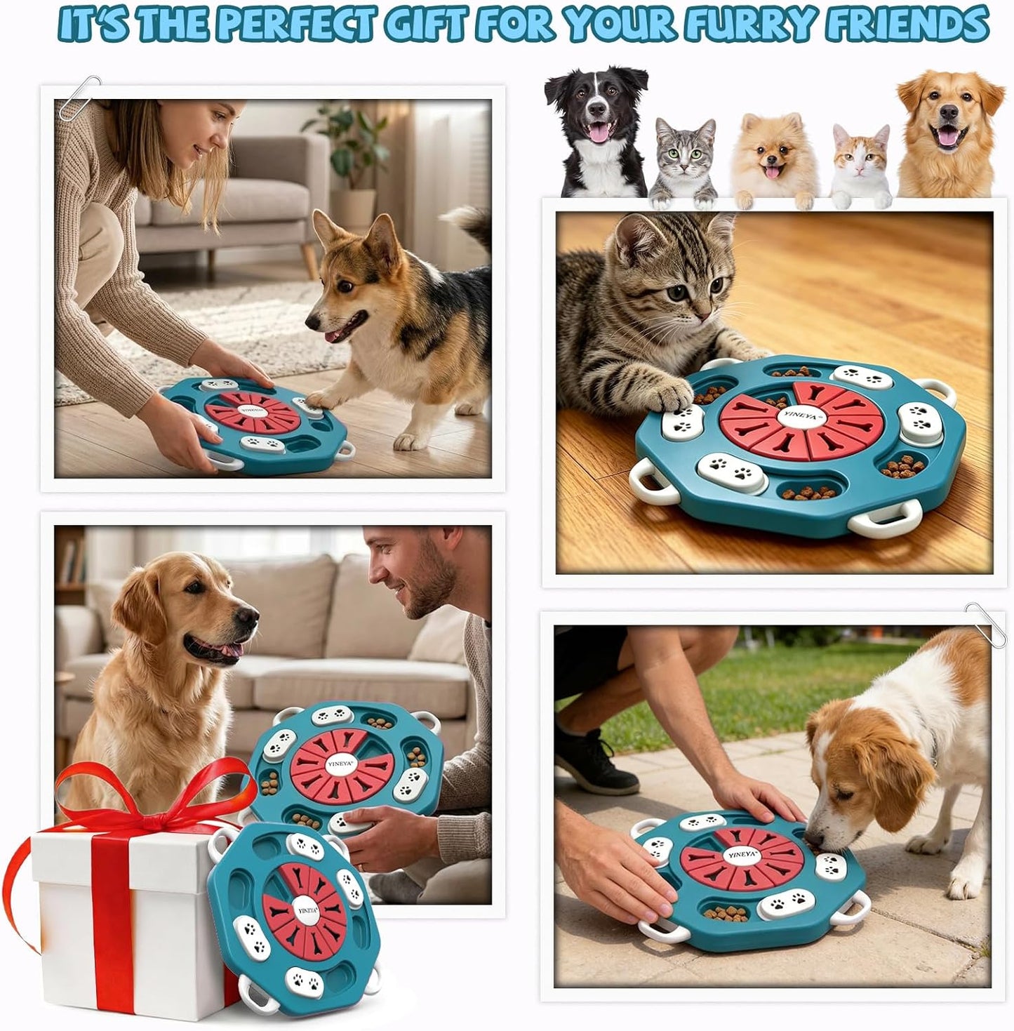 YINEYA Dog Puzzle Toy, Enrichment Toys for Dogs Training IQ & Treat Brain Games, Dog Toys to Keep Them Busy, Mental Stimulation for Dogs, Puppy Toy for Treat Dispensing, Puzzle for Small, Medium, Cats