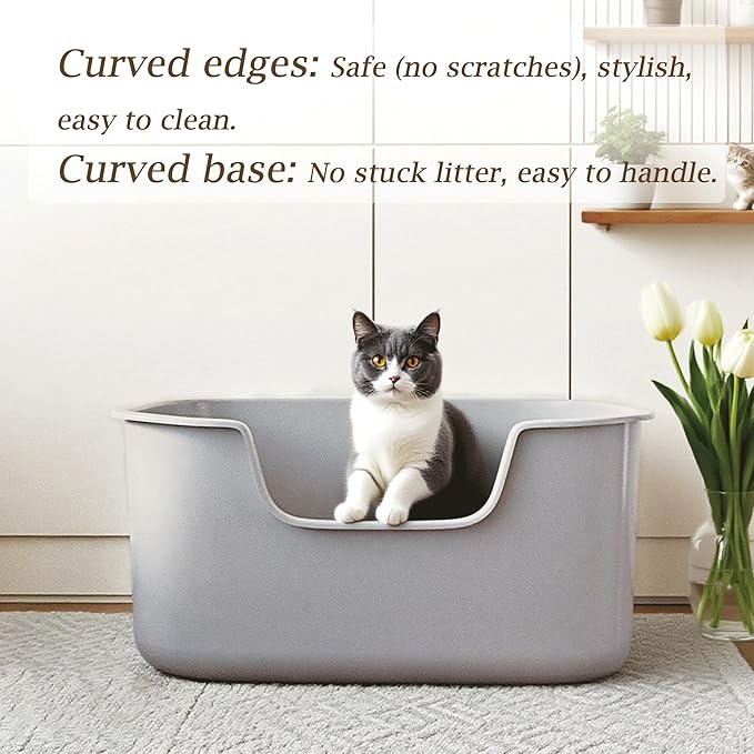 Large Cat Litter Box with High Sides, Side Entry Open Top Deep Tall Litter Pan, Kitty Litter Box for Indoor Small and Medium Cats, Grey (Anti-Splashing) 19.7" L x 15.4" W x 8.6" H