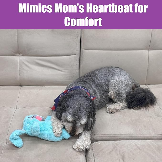 SPOT Soothers Heartbeat Bunny – 12 Inch Calming Plush Toy for Dogs & Puppies – Heartbeat Mechanism, Lavender Scent Beads, and Squeaker – Helps with Anxiety & Crate Training, Assorted Colors