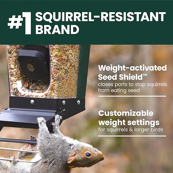 Perky-Pet Solar Powered Smart Bird Feeder with Camera - Squirrel-Resistant, 3.2L Capacity, Motion Activated 1080p HD WiFi Live Stream Camera, SPCAM, SPCAMSLR - Camera Feeder Gift Idea, Blue
