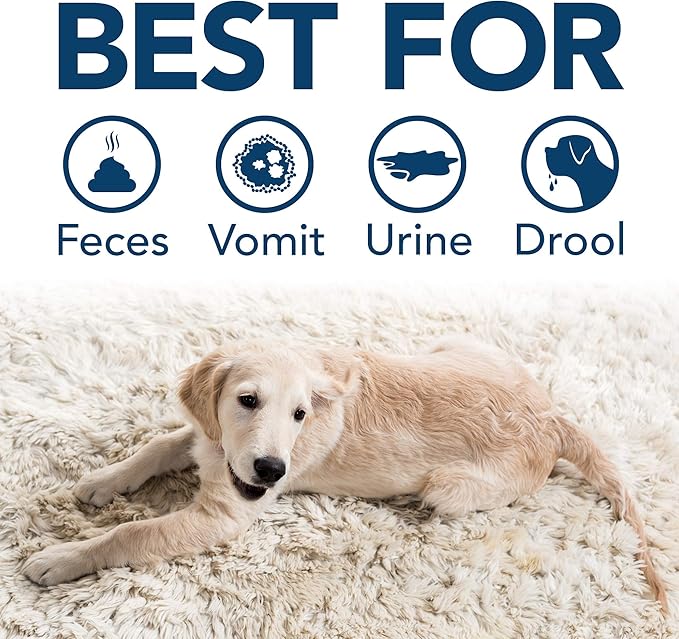 Simple Solution Stain & Odor Eliminator for Pets, Carpet Deodorizer, Enzyme Pet Odor Eliminator for Home, Stain Remover for Cat & Dog Pee, Urine Destroyer, Carpet Cleaner Spray, Fresh Floral,32 oz