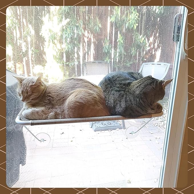 All Around 360° Sunbath and Lower Support Safety Iron Cat Window Perch, Cat Hammock Window Seat for Any Cats (M, Gold)