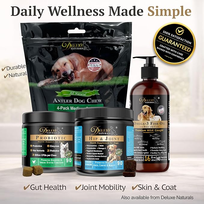 Rich Omega-3 Fish Oil for Dogs & Cats | Natural EPA + DHA Fatty Acids for Shiny Coat, Reduce Itchy Skin, Support Joint Function, Immune & Heart Health, 16 FL OZ