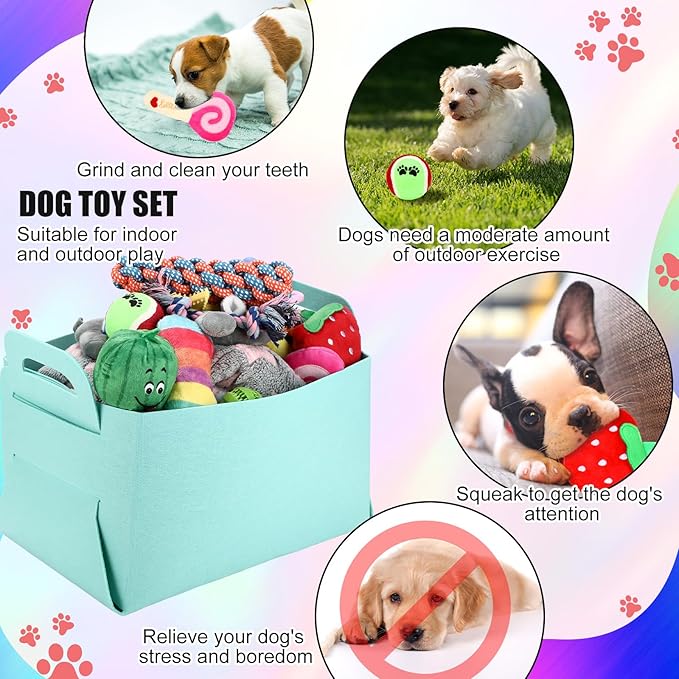 Abbylike 50 Pcs Puppy Supplies Starter Kit for Small Dogs Puppy Essentials Includes Leash, Bowls, Teeth Brushes, Water Bottle, and More Accessories for Dogs Christmas Welcome Gift (Colorful)