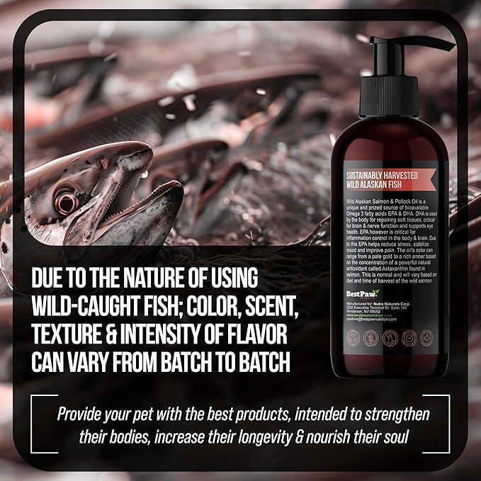 Best Paw Nutrition Wild Alaskan Salmon & Pollock Oil for Cats & Dogs – Omega 3 Fish Oil Liquid Pump with EPA DHA – Skin, Coat & Joint Support – Helps Shedding & Itchy Skin – 8 oz