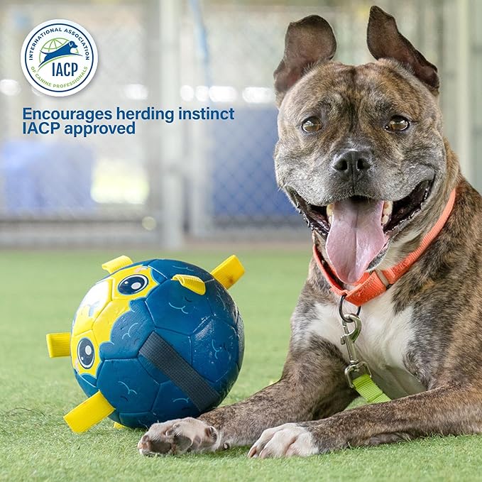 Race&Herd 6" Jolly Soccer Ball for Dogs - Tough Durable Dog Ball Toy with Straps, Pet Bouncy Herding Balls for Dogs, Floating Dog Balls with Tags for Water Fetch, BaaBaaBall (Yellow)
