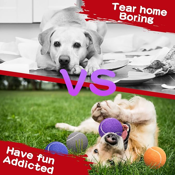 Yunsailing 15 Pcs Dog Tennis Balls Bulk 2.5 Inch Tennis Balls for Dogs Colored Mini Pet Toy Bulk for Large Medium Small Puppy Training Exercis