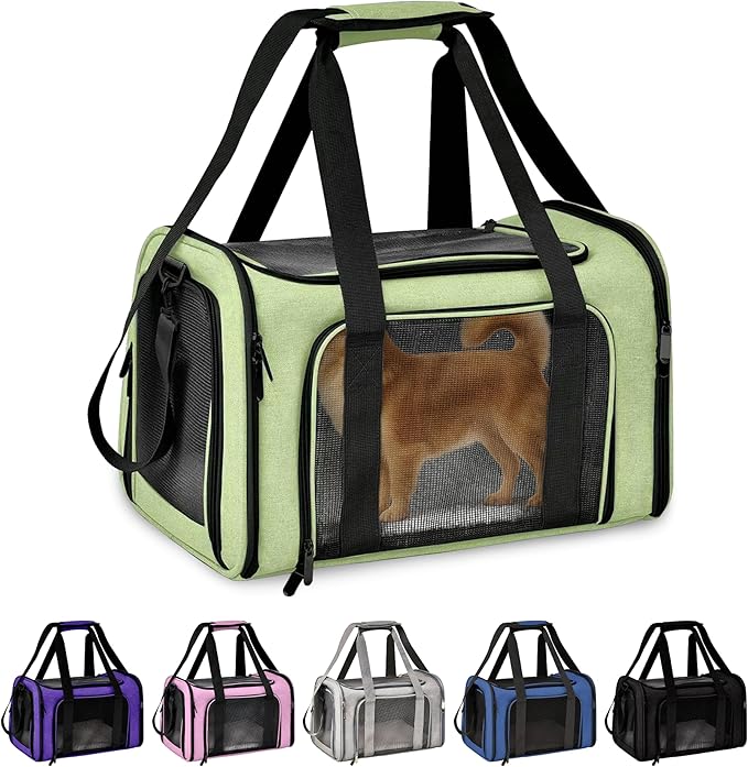 Pet Travel Carrier Bag – Airline Approved Soft-Sided Dog & Cat Carrier, Foldable, Breathable Mesh, Washable Pad – Fits Pets up to 15 lbs – The Pup Quartet (Green)