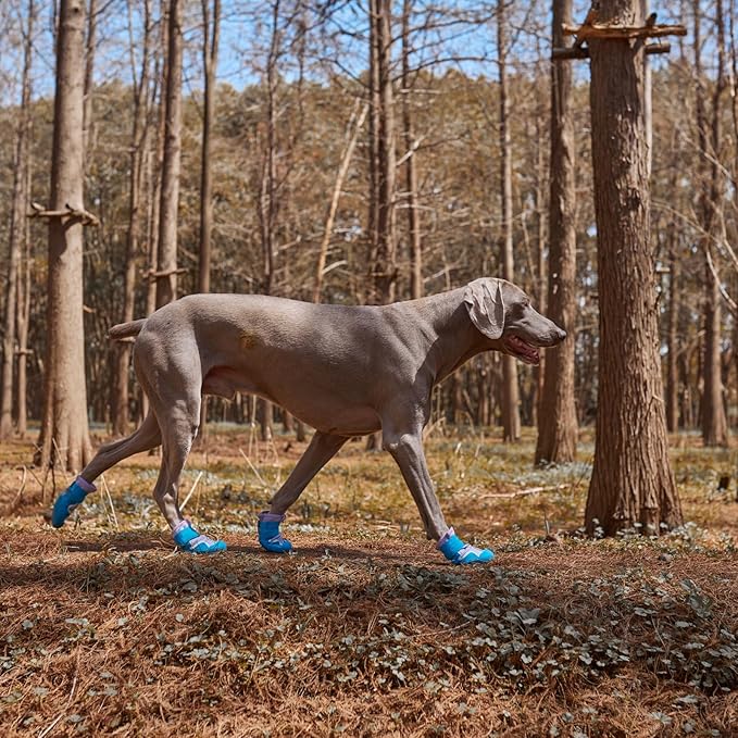Dog Shoes, Waterproof Dog Booties Paw Protector for Hot Pavement, Snowy Day, Outdoor Walking Skip-Proof Dog Shoes Blue 3.0in L