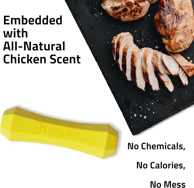 Playology Dog Toys | Durable Squeaky Chew Stick for Dogs | Medium Chicken Scented Toy - Easy to Clean and Made from Non Toxic Materials