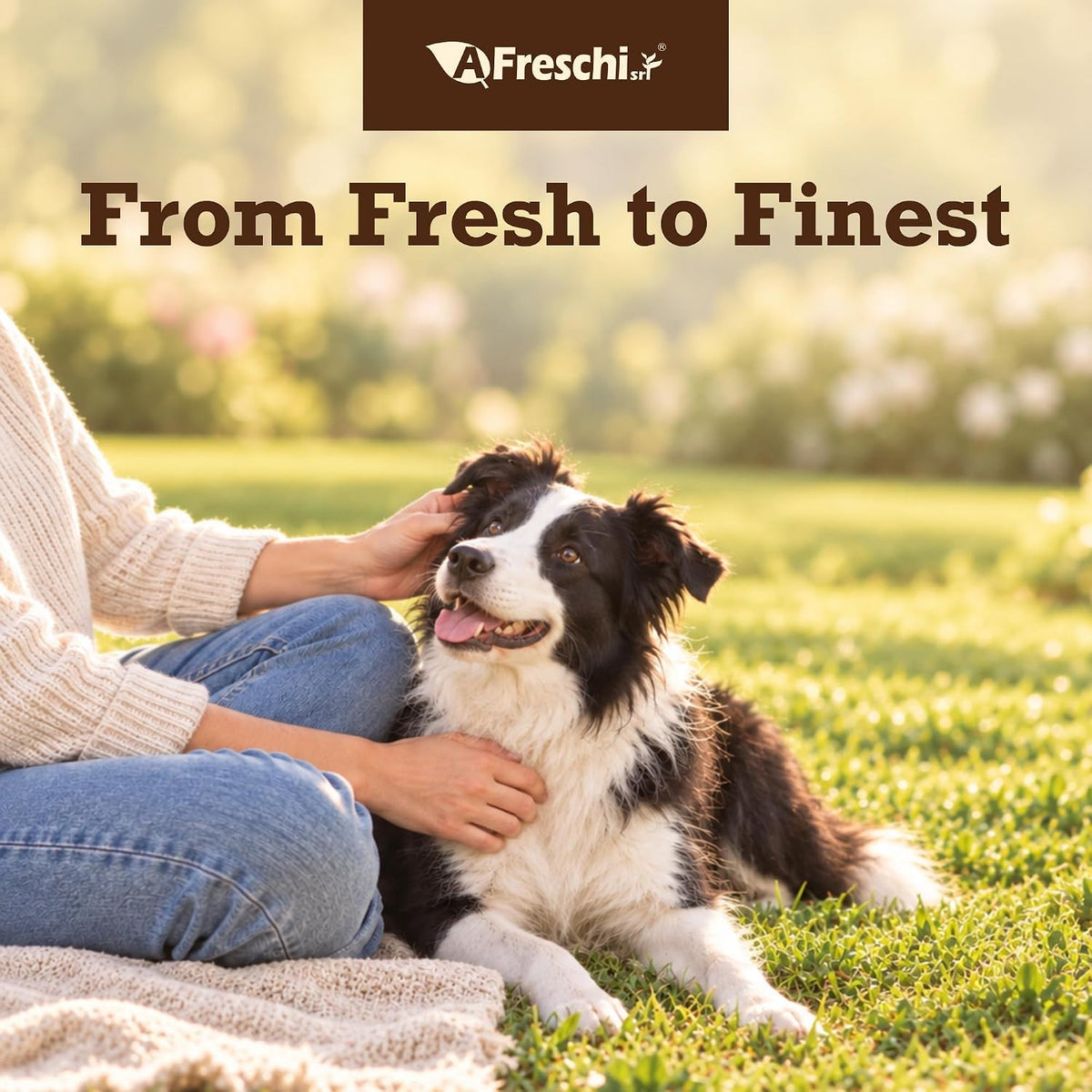 A Freschi srl® Soft Chicken Dog Treats, Chicken Breast Strips, 16 oz