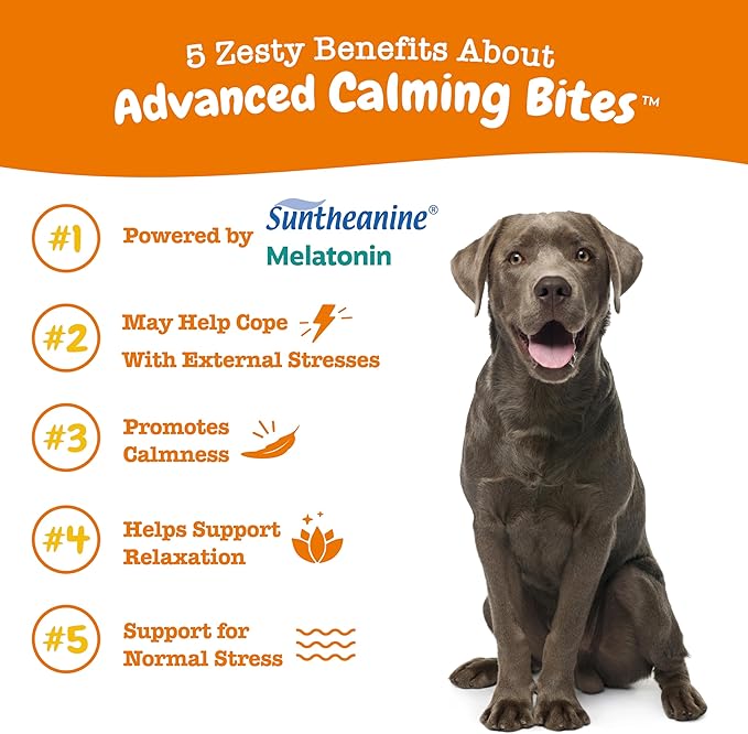 Zesty Paws Advanced Calming Soft Chews for Dogs - Composure & Relaxation for Everyday Stress & Separation + Thunderstorms - with Melatonin, Ashwagandha & L-Theanine - 90 Count