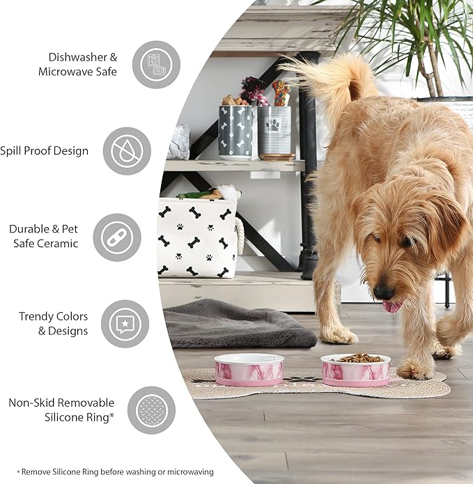 Bone Dry Ceramic Food Bowls, Non-Slip & Dishwasher Safe, Large Set, 7.5x2.4, Smiley Face, 2 Count