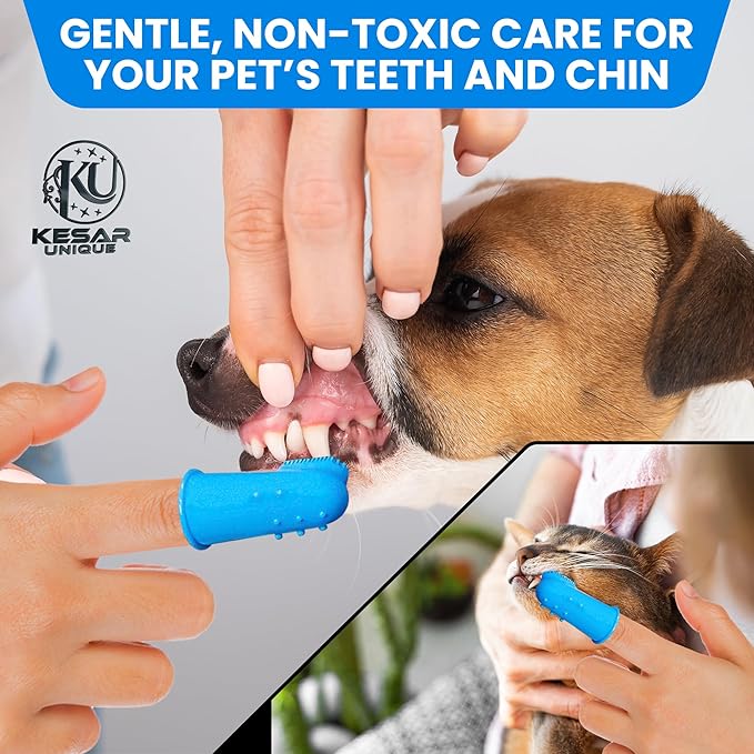 8PCS Pet Grooming & Shower Kit for Dogs & Cats| Dog Shampoo Brush with Silicone Dog Washing Gloves,Dog Bath Brush for Deshedding,Puppy & Dog Bathing Supplies(Short & Long Hair)