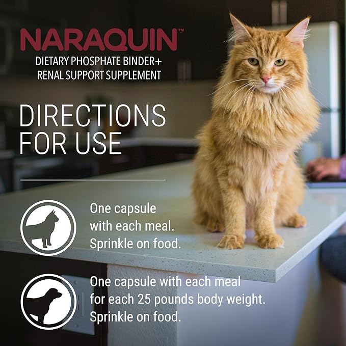 Nutramax Laboratories NARAQUIN™ Dietary Phosphate Binder + Renal Support Supplement for Cats & Dogs,60 Count (Pack of 2)