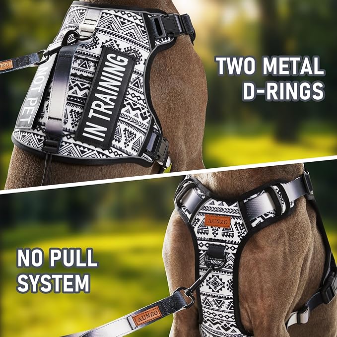No Pull Dog Harness for Small Dog Breeds, Anti-Escape Easy Walking Reflective Adjustable Lightweight Dog Vest with Breathable Oxford Material, Easy on Easy Off with Neck Buckle,Black Ethnic XS