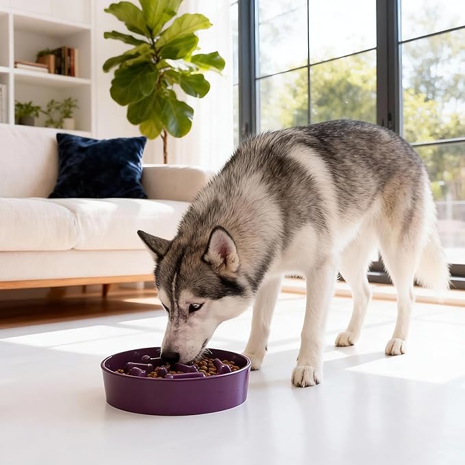 Ceramic Slow Feeder Dog Bowl, 1.5 Cup Dog Food or 20oz Water, Slow Eating Bowl for Small Breed, Maze Puzzle Feeder for Fast Eaters, Anti-Choking Stop Bloat, Non-Slip BPA Free (Purple)