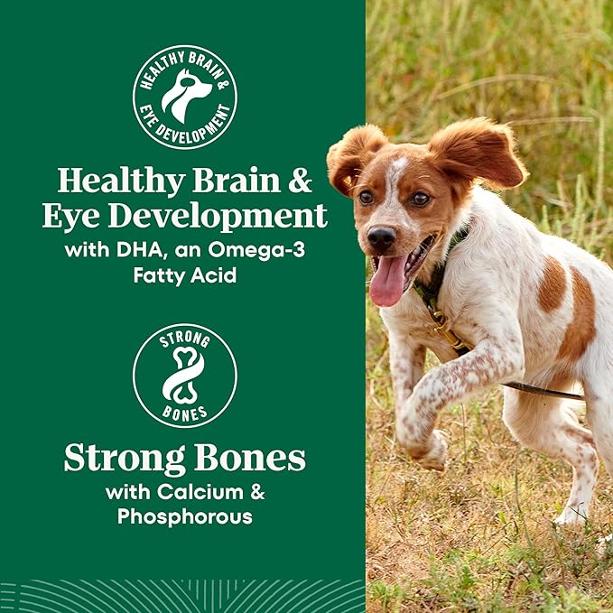 Nutro Natural Choice Large Breed Puppy Food Dry, Chicken & Brown Rice Recipe, 30 lb. Bag