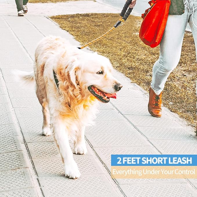 BAAPET 2/4/5/6 FT Dog Leash with Comfortable Padded Handle and Highly Reflective Threads for Small Medium and Large Dogs (2FT-1/2'', Orange)