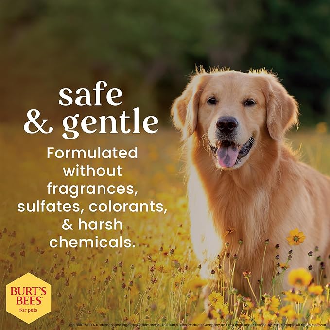 BURT'S BEES FOR PETS Dog Eye Wash with Saline Solution, Gentle Eye Cleaner for Dogs and Puppies, Tear Stain and Debris Rinse for Sensitive Eyes, Natural Origin Formula, 4 Fl Oz - 2 Pack