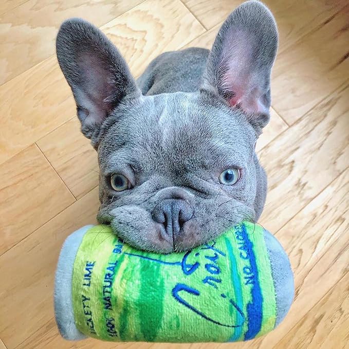 Haute Diggity Dog Woof Clicquot Pawty Set, Plush Designer Dog Toys with Interactive Squeaker, Stimulating Pet Enrichment, Machine-Washable & Safe Materials for All Breeds, One Size