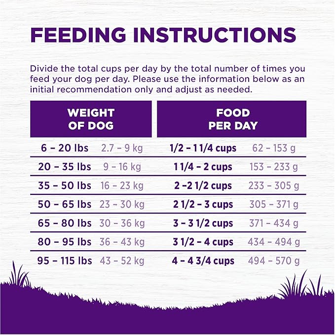 Wellness Complete Health Dry Dog Food, Wholesome Grains, Natural, Chicken & Oatmeal Recipe, (26-Pound Bag)