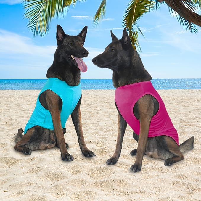 2-in-1 Dog Shirts, Soft and Cool T-Shirt Vests, Stretchy Summer Pet Clothes for Medium to Large Pets - Purple & Blue (XL)