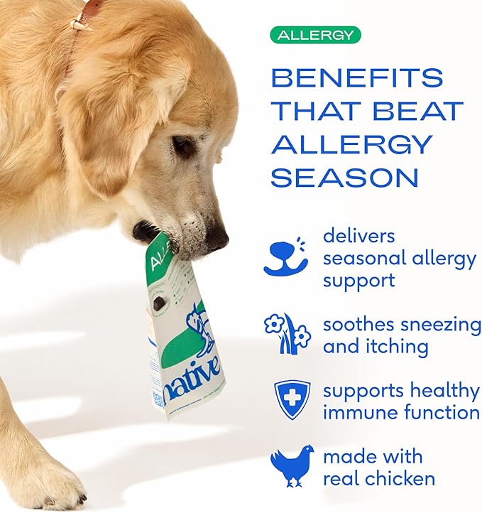 Native Pet Dog Allergy Chews - Dog Allergy Relief for Small Breeds - Supports Seasonal Itch Relief, Healthy Immune Function & Reduces Sneezing - Colostrum, Spirulina, & Probiotics - 30 Days Supply