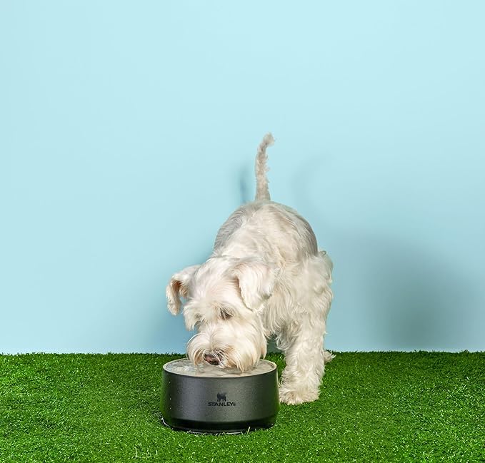 STANLEY Pet Bowl | 6-Cup (48 oz) Insulated Stainless Steel Dog & Cat Bowl | Splash-Resistant Lid | Dishwasher Safe | BPA-Free | Black 2.0
