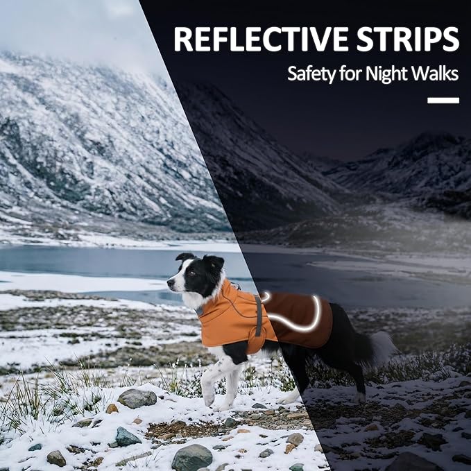 Softshell Dog Coat for Winter Walks and Hiking, Windproof and Water-Repellent Jacket with Harness Opening and Reflective Strips, Ideal Stocking Stuffer for Active Dogs (Aurantium, X-Large)