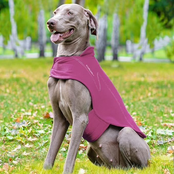 VIVAGLORY Dog Fleece Coat Warm Jacket with Hook and Loop Fastener, Easy to Take on and Off, Winter Vest Sweater for Small Medium Large Dogs Puppy Windproof Clothes for Cold Weather, Fuchsia, XL