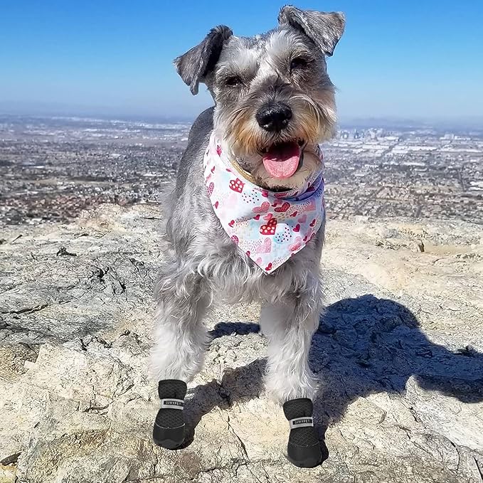 QUMY 4PCS Dog Shoes for Small Dogs, Hot Pavement Summer Puppy Dog Boots & Paw Protectors with Soft Anti-Slip Rubber Sole, Mesh Breathable Dog Booties for Hardfloors, Walking Running Black Size 2