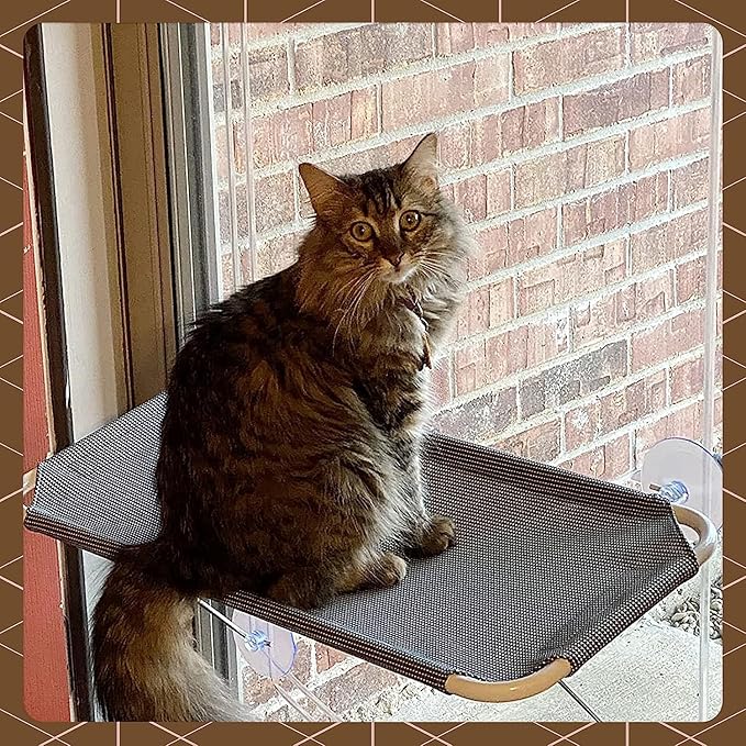 Cat Window Perch with 360° Sunbath, Hammock Bed for Indoor Cats, Grey Comfortable Seat for Sunbathing, Easy to Install on Any Window (Large)
