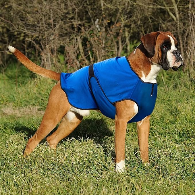Dog Cooling Vest – Lightweight Jacket for Dogs with Zip Neck & Velcro – Easy On/Off Cooling Coat for Walks, Travel & Outdoors - XXL