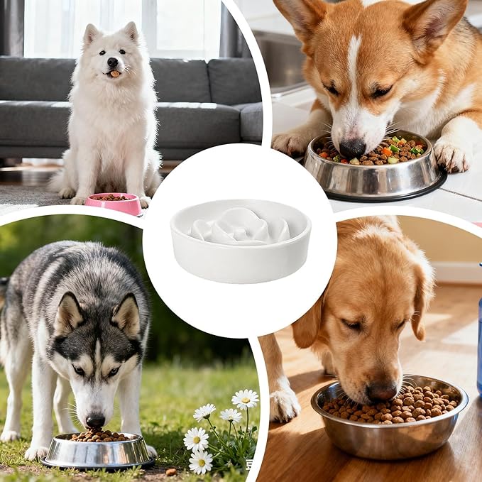 Pet Bowl - Slow Feed Dog Feeder | Fun Food Toy,Bowl for Puppies, Kittens, and Dogs, Encourages Slower Eating, Improves Digestion, Ideal for Home, Outdoor, Travel, and Daily Feeding Routines