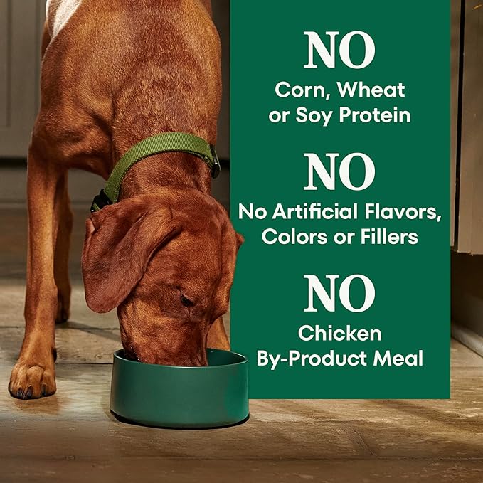 Nutro Natural Choice Adult Dry Dog Food, Beef & Brown Rice Recipe, 4.5 lb. Bag