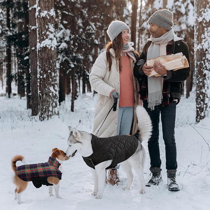 Kuoser Warm Dog Coat, Waterproof Dog Jacket for Extra Large Dogs, Adjustable Durable XL Doggie Winter Coat Reversible Cozy Puppy Cold Weather Apparel from Small to Large Breed, RoyalBlue XL
