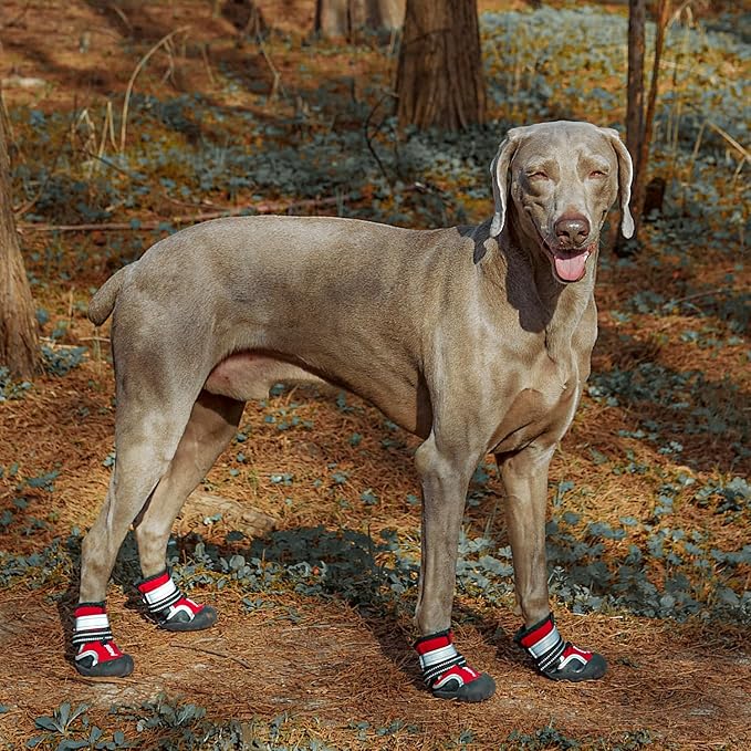Dog Shoes, 4 PCS Dogs Booties Hot Pavement, Waterproof Non-Slip with Reflective Strips, Large Medium Small Puppy Paw Protector for Walking