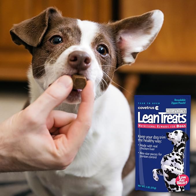 Butler Covetrus Nutrisential Lean Treats for Dogs - Small, Medium & Large Dogs (K9) - Nutritional Low Fat, Bite-Size - Soft Chicken Flavor - 1 Pack - 4oz