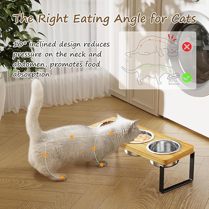 2 Pack Elevated Cat Bowls with 3 Stainless Steel Bowls | 10° Tilted Anti-Vomiting Raised Cat Food Bowl for Small Cats and Puppies Pet Bowl with Stand
