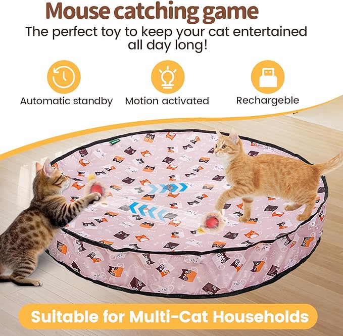 Interactive Cat Toy for Indoor Cats, Rechargeable Kitten Toy for Chasing and Hunting, Hide and Seek Mouse Catching Game with Automatic Motion-Activated Moving Ball